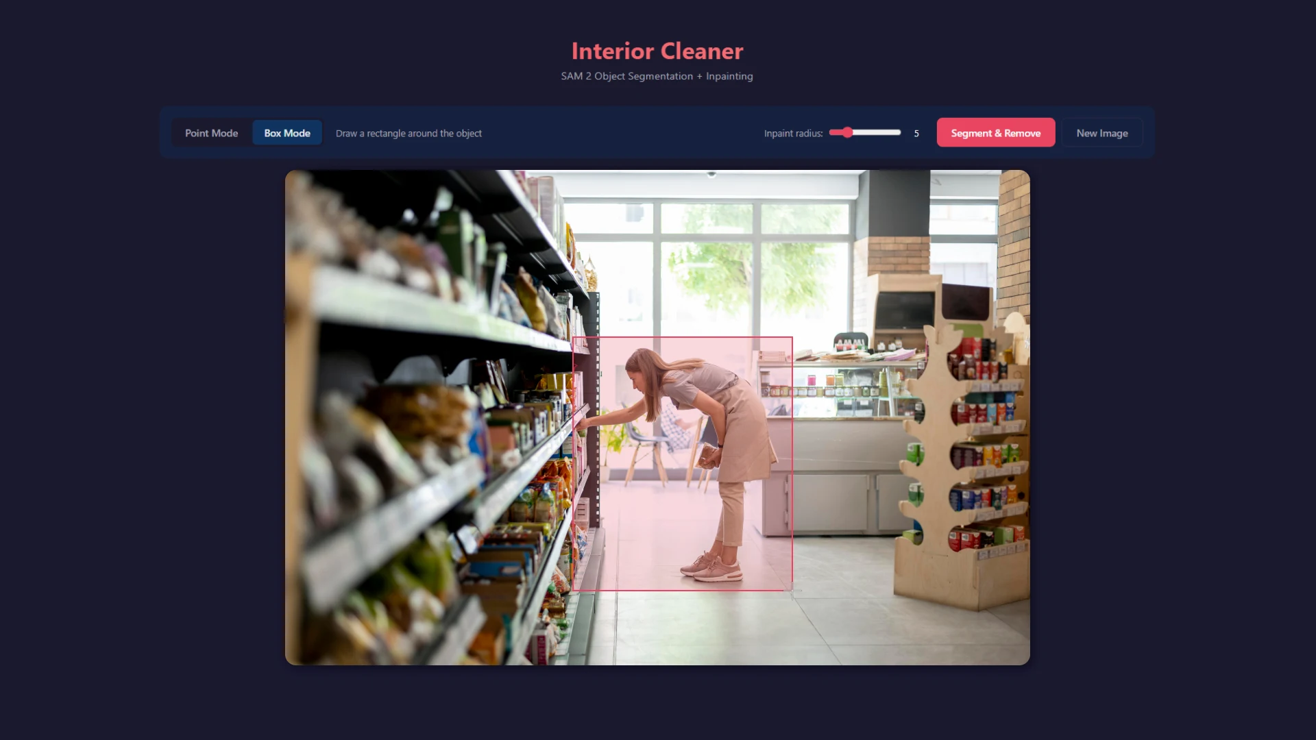 AI Object Selection Tool – Selecting a Segmentation Region